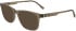 Lacoste L2974 sunglasses in Transparent Brown