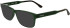 Lacoste L2977 sunglasses in Transparent Green