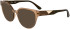 Lacoste L2982 sunglasses in Transparent Brick