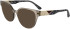 Lacoste L2982 sunglasses in Transparent Beige