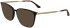 Lacoste L2984 sunglasses in Dark Havana