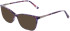 Marchon NYC M-5043 sunglasses in Purple Tortoise