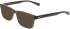 Nike NIKE 1000C sunglasses in Smoke