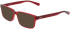Nike NIKE 1001C sunglasses in University Red