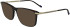 Zeiss ZS25723 sunglasses in Tortoise