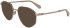 Calvin Klein Jeans CKJ25204 sunglasses in Rose Gold