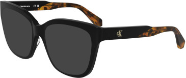 Calvin Klein Jeans CKJ25616 sunglasses in Black