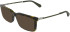 Calvin Klein Jeans CKJ25625 sunglasses in Khaki Havana