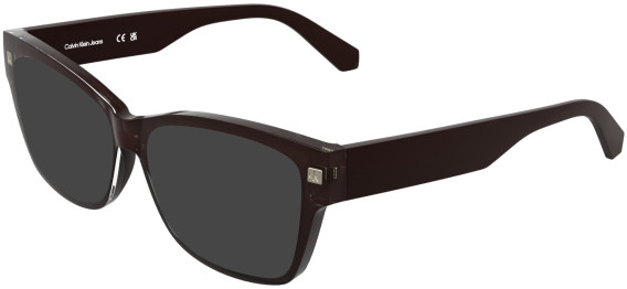 Calvin Klein Jeans CKJ25628 sunglasses in Brown