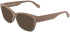 Calvin Klein Jeans CKJ25628 sunglasses in Nude
