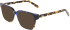 DKNY DK5075 sunglasses in Blue/Golden Tortoise
