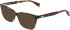 DKNY DK5097 sunglasses in Dark Tortoise