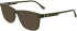 Lacoste L2974 sunglasses in Transparent Khaki