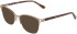Marchon NYC M-4032 sunglasses in Brown