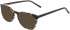 Marchon NYC M-8512 sunglasses in Tokyo Tortoise