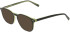 Marchon NYC M-8513 sunglasses in Olive