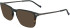 Zeiss ZS24722 sunglasses in Dark Grey/Havana