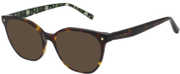 Ted Baker TB9267 sunglasses in Tortoise