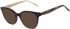 Ted Baker TB9267 sunglasses in Crystal Purple Pink Horn