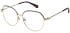 Ted Baker TB2350 glasses in Gold/Purple