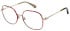 Ted Baker TB2350 glasses in Red/Gold