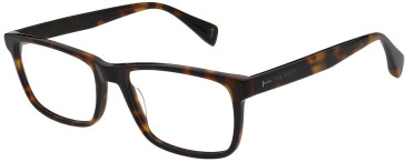 Ted Baker TB8319 glasses in Gloss Tort
