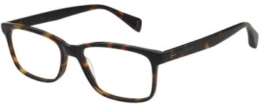 Ted Baker TB8322 glasses in Gloss Tort