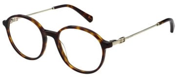 Ted Baker TB9291 glasses in Gloss Classic Tort