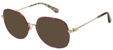 Ted Baker TB2350 sunglasses in Red/Gold