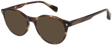 Ted Baker TB8314 sunglasses in Gloss Crystal Brown Horn