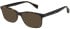 Ted Baker TB8322 sunglasses in Gloss Tort