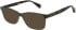 Ted Baker TB8322 sunglasses in Gloss Dark Crystal Khaki