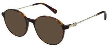 Ted Baker TB9291 sunglasses in Gloss Classic Tort