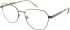 Calvin Klein CK25107 glasses in Blush