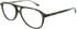 Calvin Klein CK25519 glasses in Tortoise