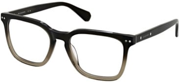 All Saints ALS1006 glasses in Khaki Grad