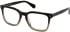 All Saints ALS1006 glasses in Khaki Grad