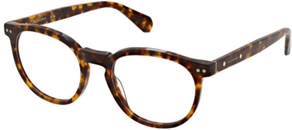 All Saints ALS1007 glasses in Classic Tort