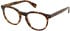 All Saints ALS1007 glasses in Classic Tort