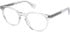 All Saints ALS1007 glasses in Crystal Clear