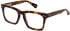 All Saints ALS1008 glasses in Classic Tort