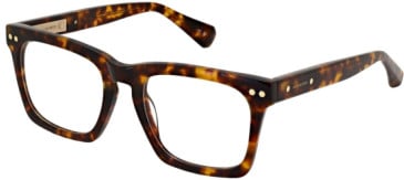 All Saints ALS1008-166 glasses in Classic Tort