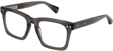 All Saints ALS1008-929 glasses in Crystal Grey
