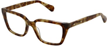 All Saints ALS1001-194 glasses in Light Tort