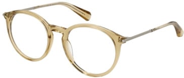 All Saints ALS1004-191 glasses in Crystal Light Cognac
