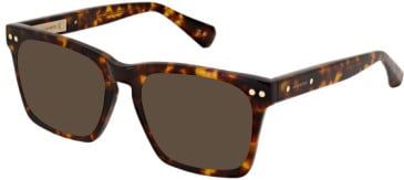 All Saints ALS1008 sunglasses in Classic Tort