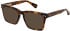 All Saints ALS1008 sunglasses in Classic Tort