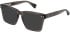 All Saints ALS1008 sunglasses in Crystal Grey