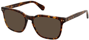All Saints ALS1006-166 sunglasses in Classic Tort