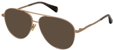 All Saints ALS3001-507 sunglasses in Warm Brass